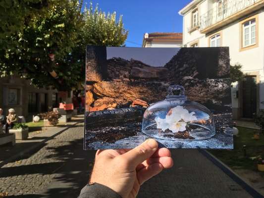17.11.2017 > 19.11.2017 | EXHIBITION
