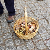 events /