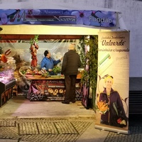 events /