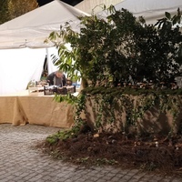 events /