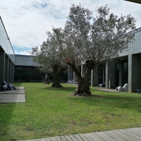 events /