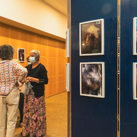 events /