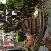 events /