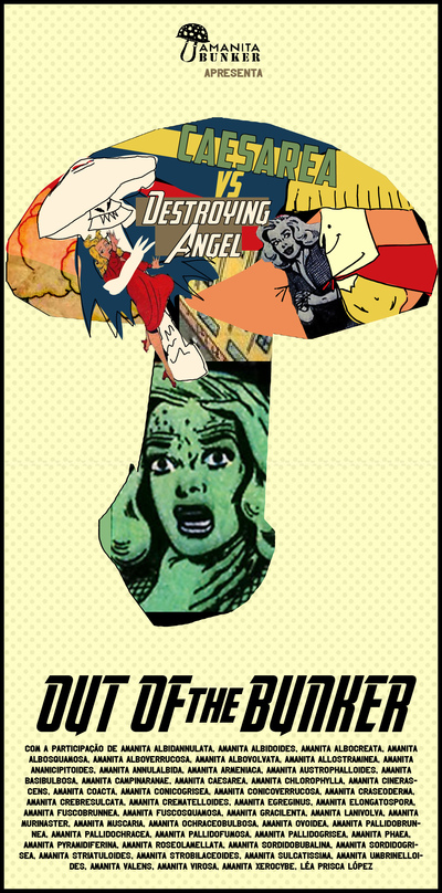 OUT OF the BUNKER
OUT OF the BUNKER