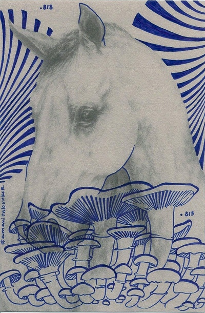 Equine Express
Equine Express