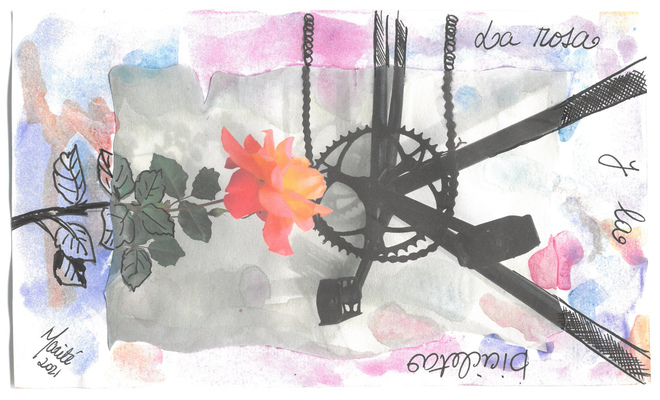 Del jardin de mi casa ; La rosa
