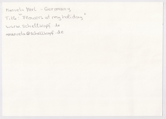 Flowers at my holiday
