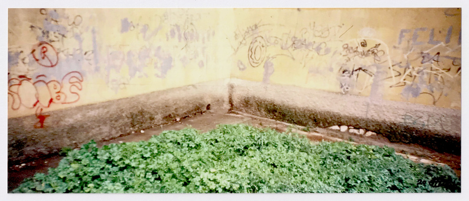 Photo 1 ; Photo 2 ; Photo 3
Photo 1 ; Photo 2 ; Photo 3