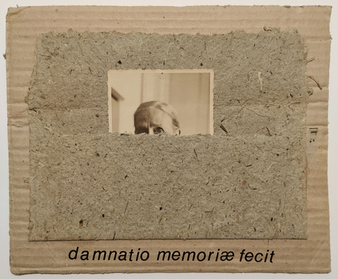 damnatio memoriæ fecit
