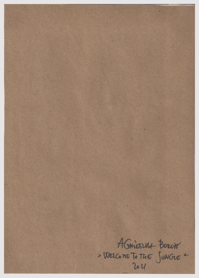 WELCOME TO THE JUNGLE
WELCOME TO THE JUNGLE