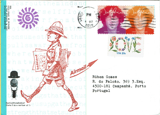 BeetleBrainBowler
BeetleBrainBowler