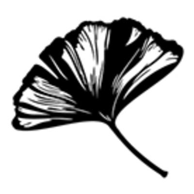 Maria Afonso
Maria Afonso